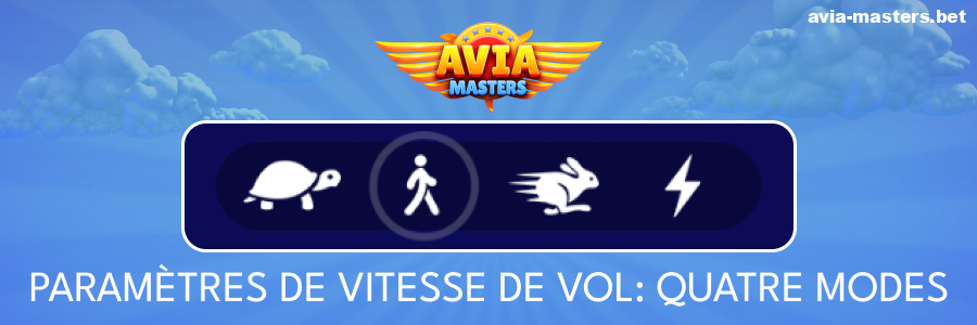 Options de vitesse du jeu Aviamasters